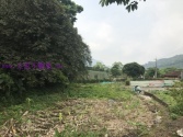 新竹縣橫山鄉橫山油羅小富田農地 新竹縣橫山鄉橫山油羅小富田農地